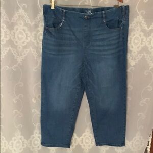 Time and‎ Tru Women's Ankle Jeans in Blue